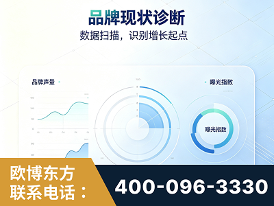河间-品牌现状诊断