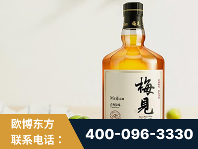 河间-梅见青梅酒